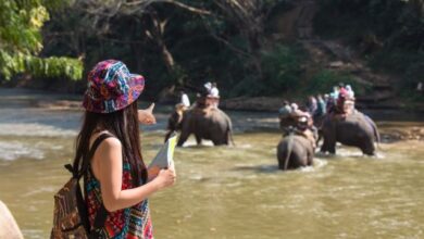 Ranthambore wildlife tour holiday package