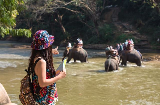 Ranthambore wildlife tour holiday package