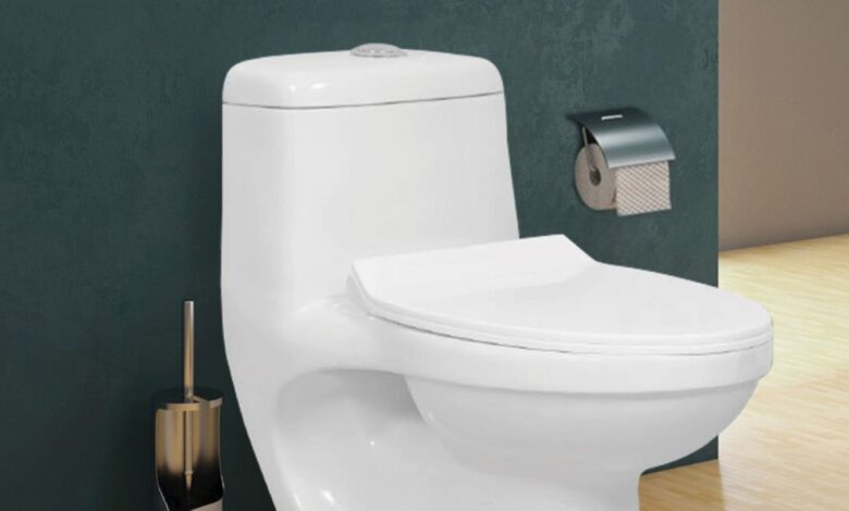 One Piece Toilet