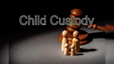 International Child Custody Lawyer