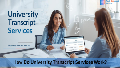 Anna University Transcript