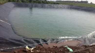 Liner for Ash Storage Pond