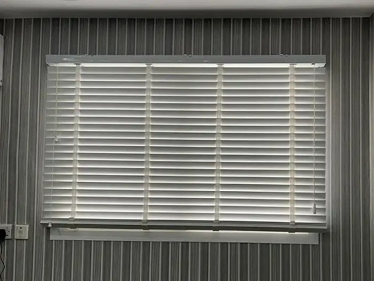 Zebra Blinds for Windows