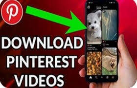Pinterest Reel Video Download