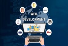Web Development Services Florida