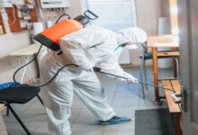 Home Pest Control Services in Jaipur