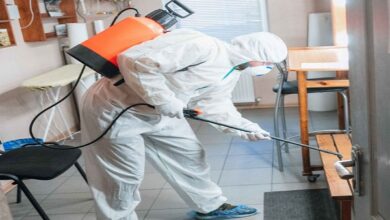 Home Pest Control Services in Jaipur