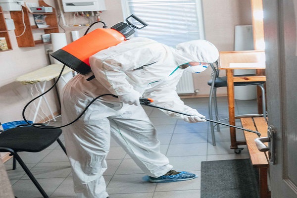 Home Pest Control Services in Jaipur