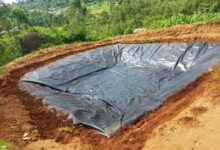 Liner for Dam Lining