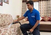 Residential Pest Control in Jaipur