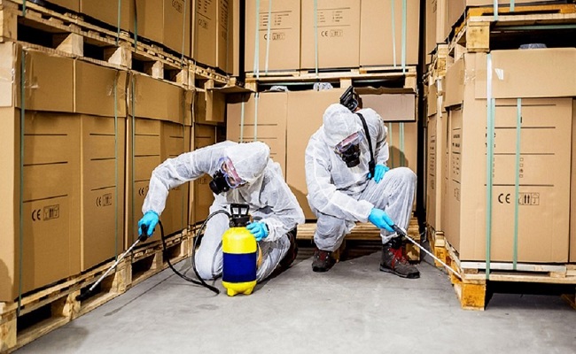 Commercial Pest Control Service in Jaipur