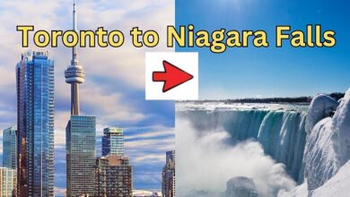 Toronto Downtown Hotel to Niagara Falls Private Car
