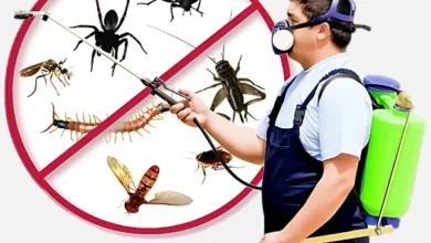 Industrial Pest Control Service in Jaipur