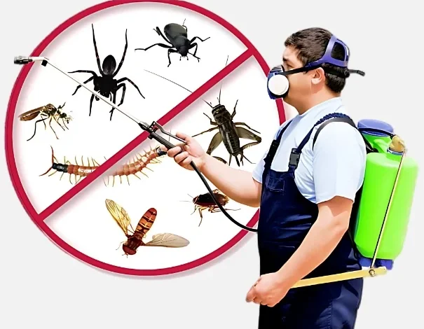 Industrial Pest Control Service in Jaipur