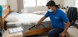 Jaipur Bedbugs Control Services