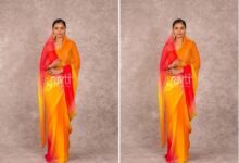 Rajputi Chiffon Saree