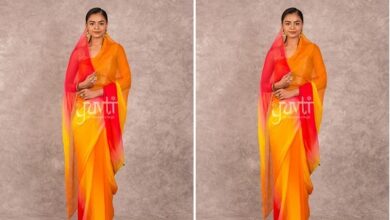 Rajputi Chiffon Saree