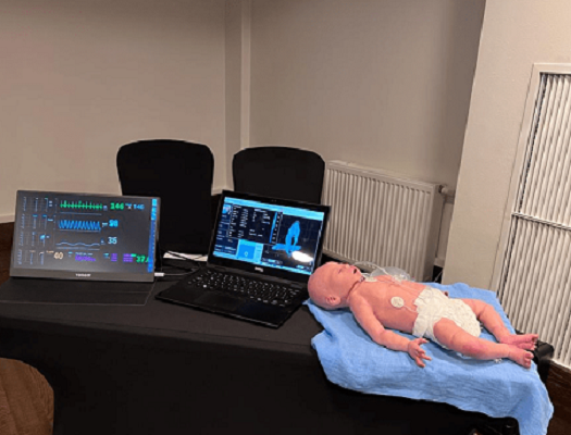 Baby Lung Simulator