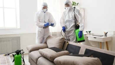 Cockroach Control Service in Jaipur