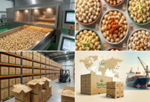 Roasted Makhana Exporter in Bihar
