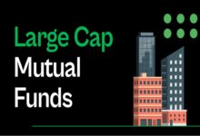 Large Cap Mutual Funds​