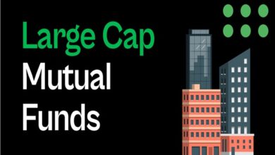 Large Cap Mutual Funds​
