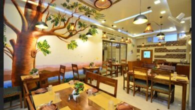 Best 4 Star Hotel Mansarovar