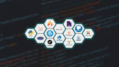 Website Designing in Moradabad