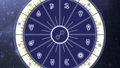 Nadi Astrologer in Hyderabad
