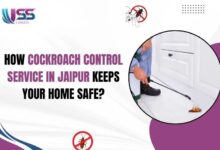 Best Pest Control for Cockroaches in Jaipur