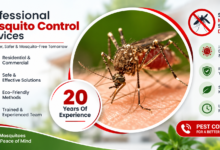 Mosquito Control Chennai