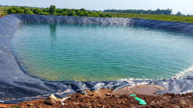 Liner for Agriculture Pond