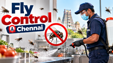 Fly Control Chennai