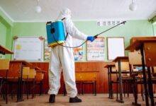 College Pest Control