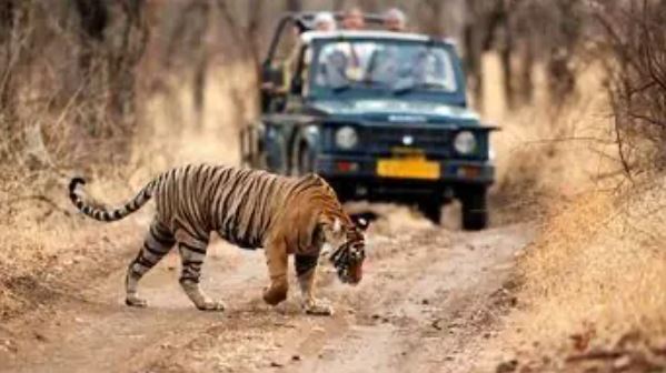 Ranthambore jeep safari timings